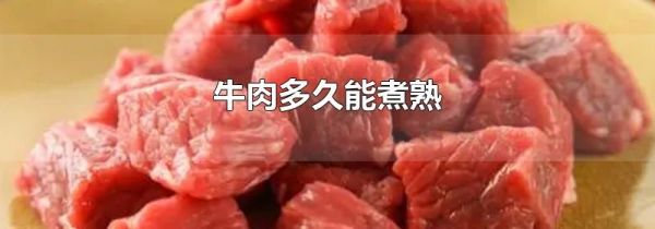 牛肉多久能煮熟