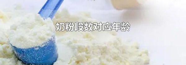 奶粉段数对应年龄
