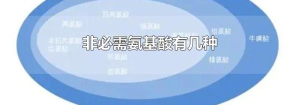 非必需氨基酸有几种