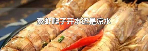 蒸虾爬子开水还是凉水