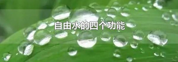 自由水的四个功能