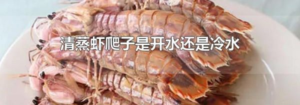 清蒸虾爬子是开水还是冷水