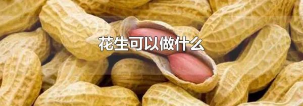 花生可以做什么