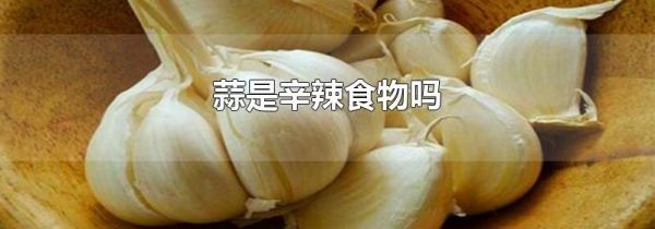 蒜是辛辣食物吗
