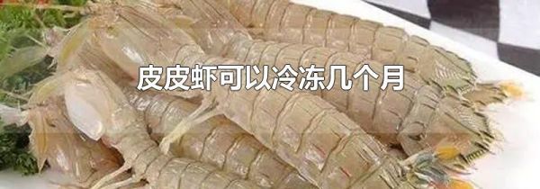 皮皮虾可以冷冻几个月