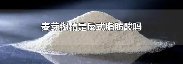 麦芽糊精是反式脂肪酸吗