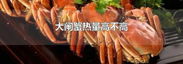 大闸蟹热量高不高