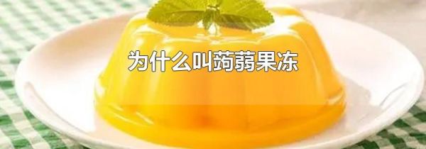 为什么叫蒟蒻果冻