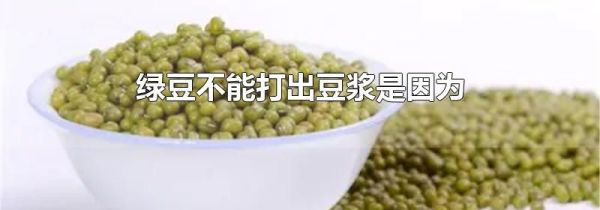绿豆不能打出豆浆是因为