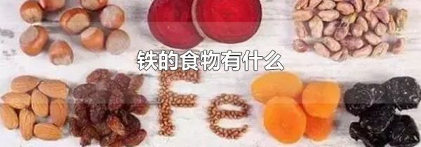 铁的食物有什么