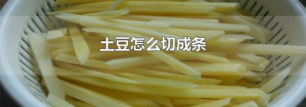 土豆怎么切成条