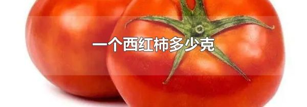 一个西红柿多少克