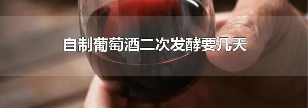 自制葡萄酒二次发酵要几天