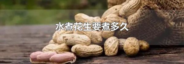 水煮花生要煮多久