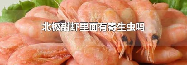 北极甜虾里面有寄生虫吗
