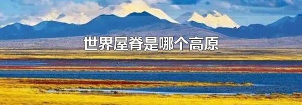 世界屋脊是哪个高原