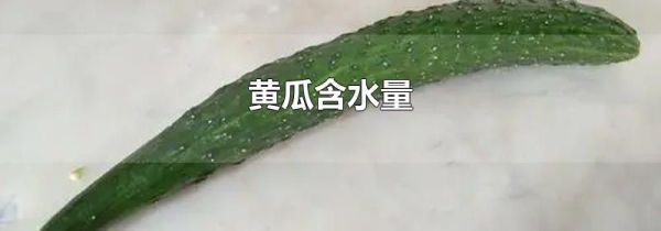 黄瓜含水量