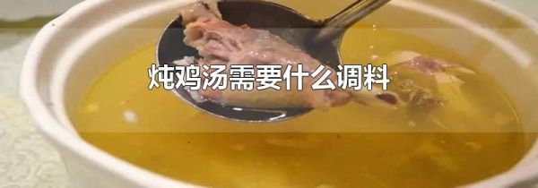 炖鸡汤需要什么调料