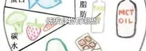 低碳食物有哪些?