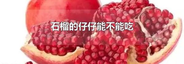 石榴的仔仔能不能吃