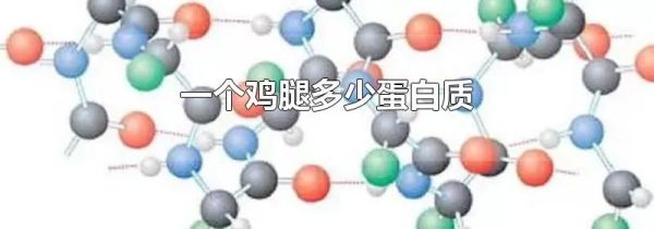 一个鸡腿多少蛋白质