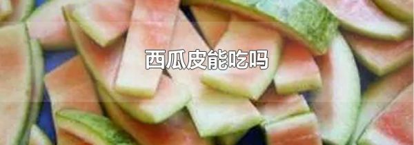 西瓜皮能吃吗