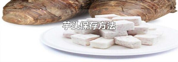 芋头保存方法
