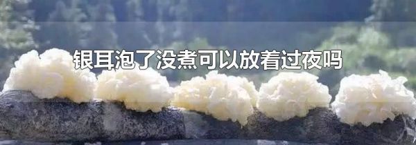 银耳泡了没煮可以放着过夜吗