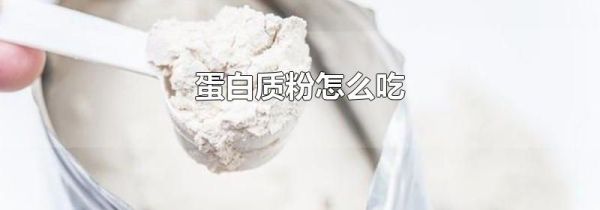 蛋白质粉怎么吃
