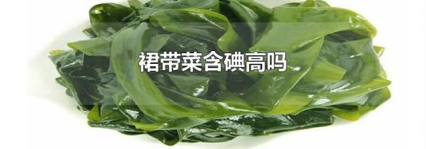 裙带菜含碘高吗