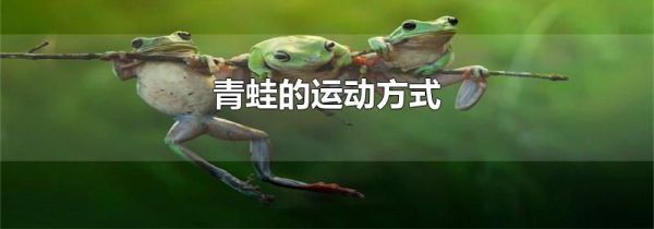 青蛙的运动方式