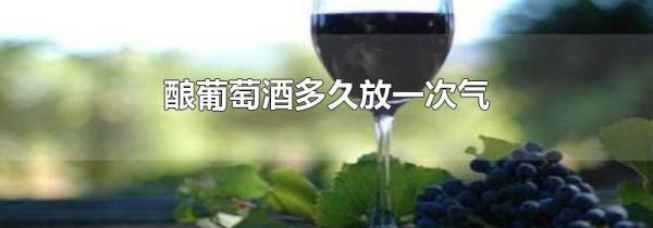 酿葡萄酒多久放一次气