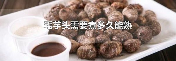 毛芋头需要煮多久能熟