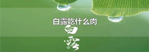 白露吃什么肉