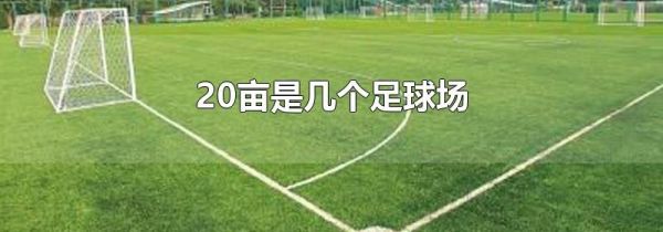 20亩是几个足球场