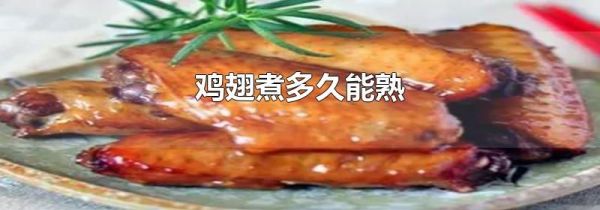 鸡翅煮多久能熟