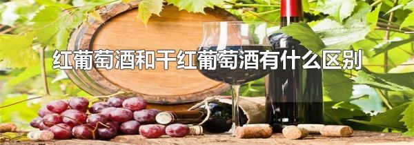红葡萄酒和干红葡萄酒有什么区别