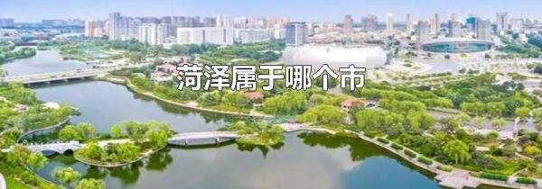 菏泽属于哪个市
