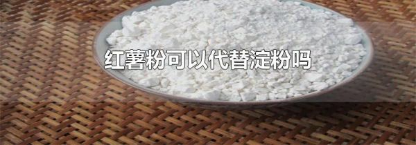 红薯粉可以代替淀粉吗