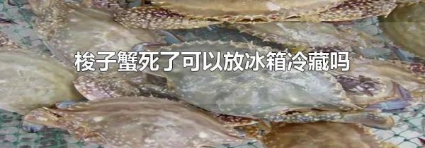 梭子蟹死了可以放冰箱冷藏吗