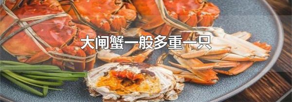 大闸蟹一般多重一只