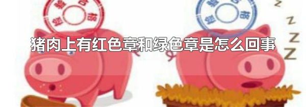 猪肉上有红色章和绿色章是怎么回事