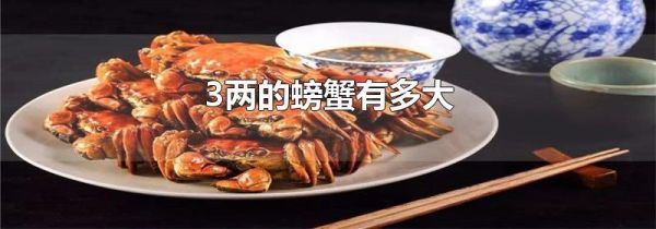 3两的螃蟹有多大