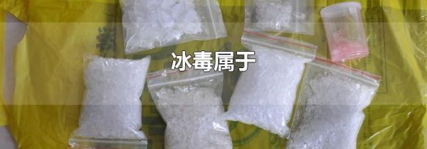 冰毒属于