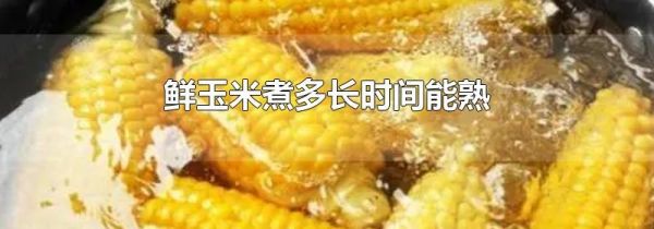 鲜玉米煮多长时间能熟
