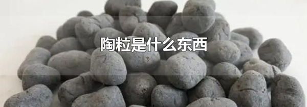 陶粒是什么东西