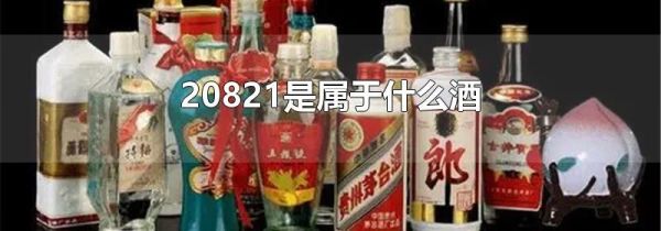 20821是属于什么酒
