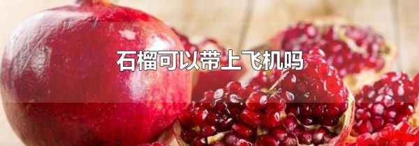 石榴可以带上飞机吗