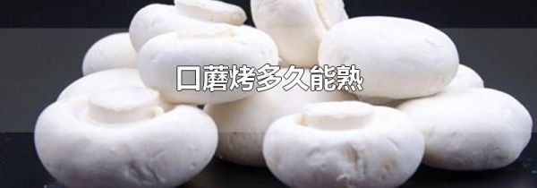 口蘑烤多久能熟