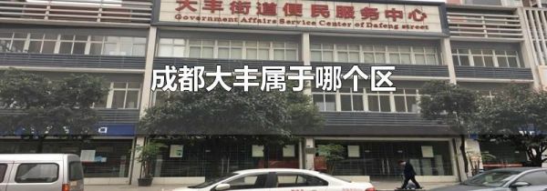 成都大丰属于哪个区